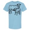 4800 - Best Value 100% Cotton T-Shirt Thumbnail