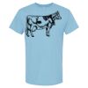 4800 - Best Value 100% Cotton T-Shirt Thumbnail