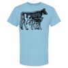 4800 - Best Value 100% Cotton T-Shirt Thumbnail