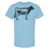 4800 - Best Value 100% Cotton T-Shirt Thumbnail
