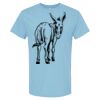 4800 - Best Value 100% Cotton T-Shirt Thumbnail
