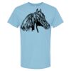 4800 - Best Value 100% Cotton T-Shirt Thumbnail