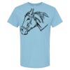 4800 - Best Value 100% Cotton T-Shirt Thumbnail