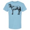 4800 - Best Value 100% Cotton T-Shirt Thumbnail
