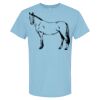 4800 - Best Value 100% Cotton T-Shirt Thumbnail