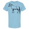 4800 - Best Value 100% Cotton T-Shirt Thumbnail