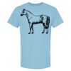 4800 - Best Value 100% Cotton T-Shirt Thumbnail