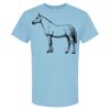 4800 - Best Value 100% Cotton T-Shirt Thumbnail