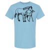 4800 - Best Value 100% Cotton T-Shirt Thumbnail
