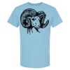 4800 - Best Value 100% Cotton T-Shirt Thumbnail