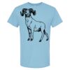 4800 - Best Value 100% Cotton T-Shirt Thumbnail