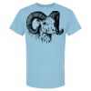 4800 - Best Value 100% Cotton T-Shirt Thumbnail