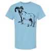 4800 - Best Value 100% Cotton T-Shirt Thumbnail