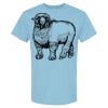 4800 - Best Value 100% Cotton T-Shirt Thumbnail