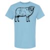 4800 - Best Value 100% Cotton T-Shirt Thumbnail