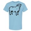 4800 - Best Value 100% Cotton T-Shirt Thumbnail