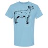 4800 - Best Value 100% Cotton T-Shirt Thumbnail