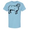 4800 - Best Value 100% Cotton T-Shirt Thumbnail