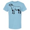 4800 - Best Value 100% Cotton T-Shirt Thumbnail