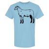 4800 - Best Value 100% Cotton T-Shirt Thumbnail