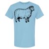 4800 - Best Value 100% Cotton T-Shirt Thumbnail