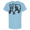 4800 - Best Value 100% Cotton T-Shirt Thumbnail
