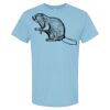 4800 - Best Value 100% Cotton T-Shirt Thumbnail