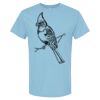 4800 - Best Value 100% Cotton T-Shirt Thumbnail