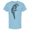4800 - Best Value 100% Cotton T-Shirt Thumbnail