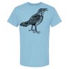 4800 - Best Value 100% Cotton T-Shirt Thumbnail