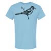 4800 - Best Value 100% Cotton T-Shirt Thumbnail