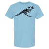 4800 - Best Value 100% Cotton T-Shirt Thumbnail