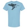 4800 - Best Value 100% Cotton T-Shirt Thumbnail