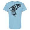 4800 - Best Value 100% Cotton T-Shirt Thumbnail