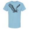 4800 - Best Value 100% Cotton T-Shirt Thumbnail
