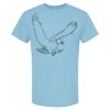 4800 - Best Value 100% Cotton T-Shirt Thumbnail