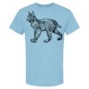 4800 - Best Value 100% Cotton T-Shirt Thumbnail