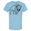 4800 - Best Value 100% Cotton T-Shirt Thumbnail