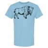 4800 - Best Value 100% Cotton T-Shirt Thumbnail