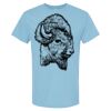 4800 - Best Value 100% Cotton T-Shirt Thumbnail