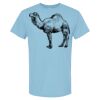 4800 - Best Value 100% Cotton T-Shirt Thumbnail