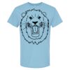 4800 - Best Value 100% Cotton T-Shirt Thumbnail