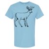 4800 - Best Value 100% Cotton T-Shirt Thumbnail