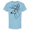 4800 - Best Value 100% Cotton T-Shirt Thumbnail