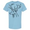 4800 - Best Value 100% Cotton T-Shirt Thumbnail