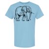4800 - Best Value 100% Cotton T-Shirt Thumbnail
