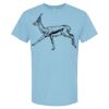 4800 - Best Value 100% Cotton T-Shirt Thumbnail