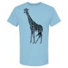4800 - Best Value 100% Cotton T-Shirt Thumbnail