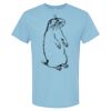 4800 - Best Value 100% Cotton T-Shirt Thumbnail