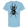 4800 - Best Value 100% Cotton T-Shirt Thumbnail